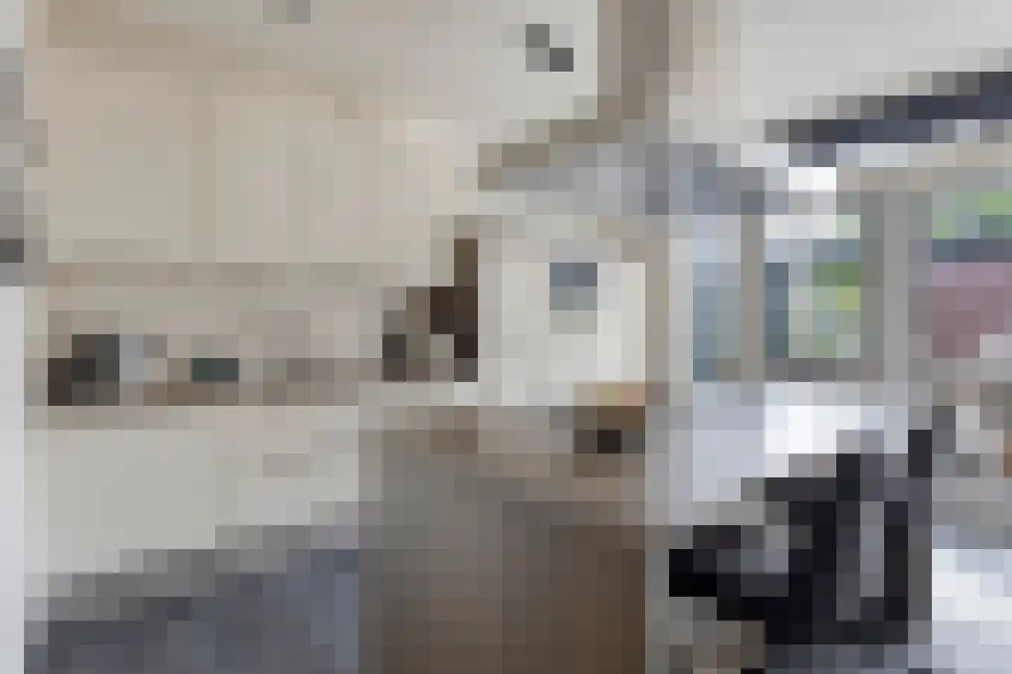 Alexander de Grotestraat 22 Hulst thumbnail 17