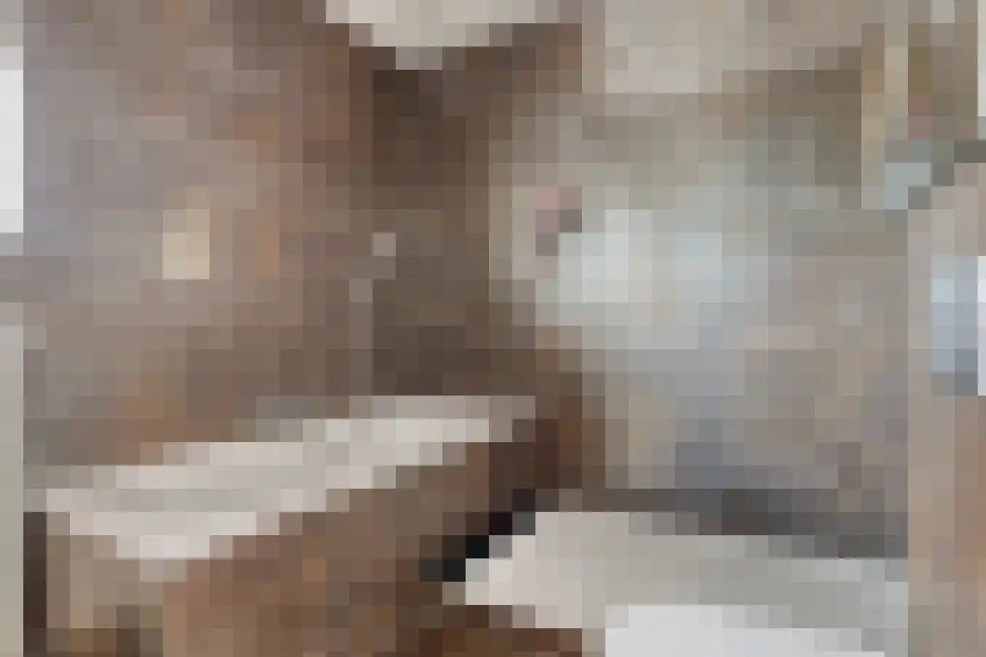 Alexander de Grotestraat 22 Hulst thumbnail 27