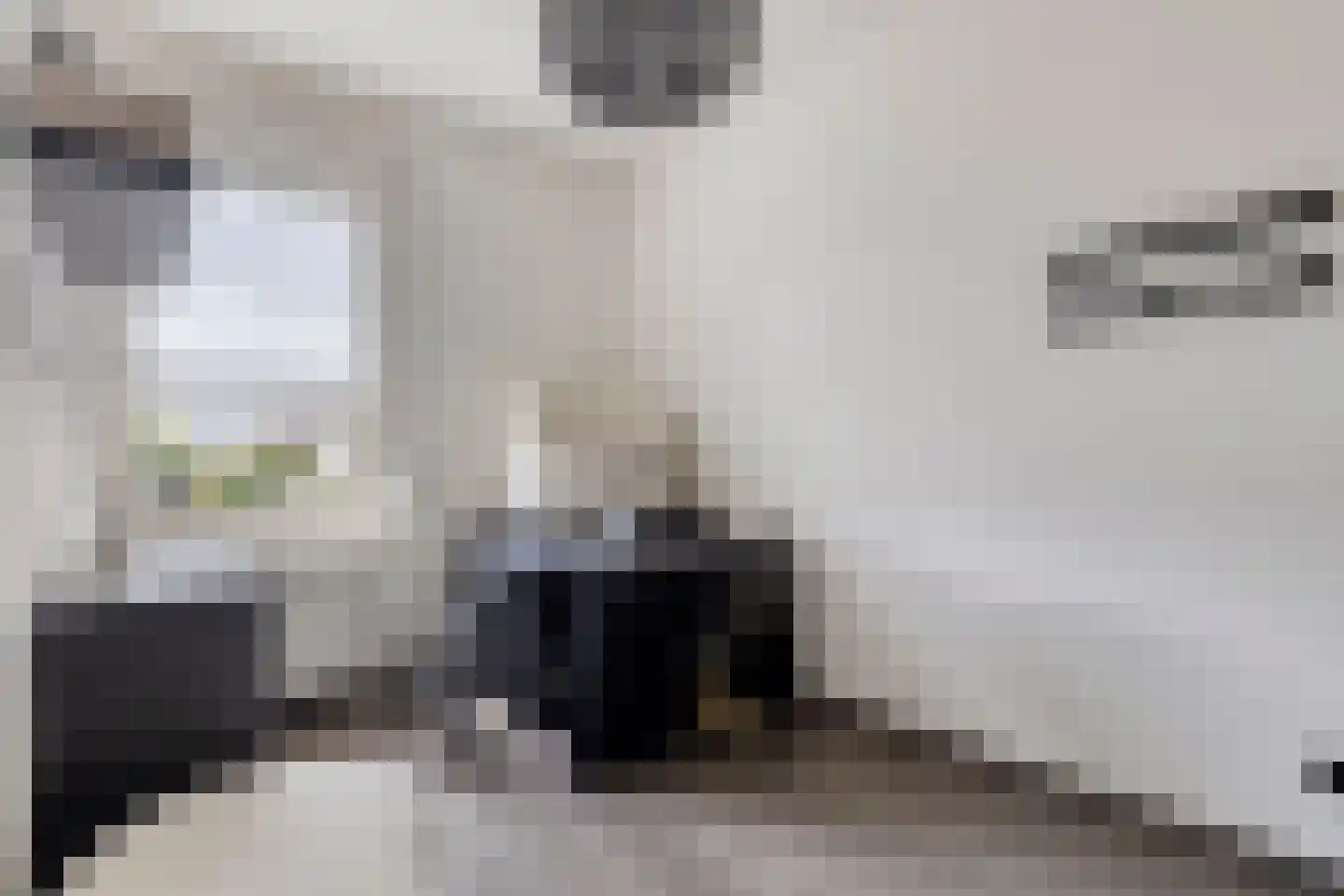 Alexander de Grotestraat 22 Hulst thumbnail 29