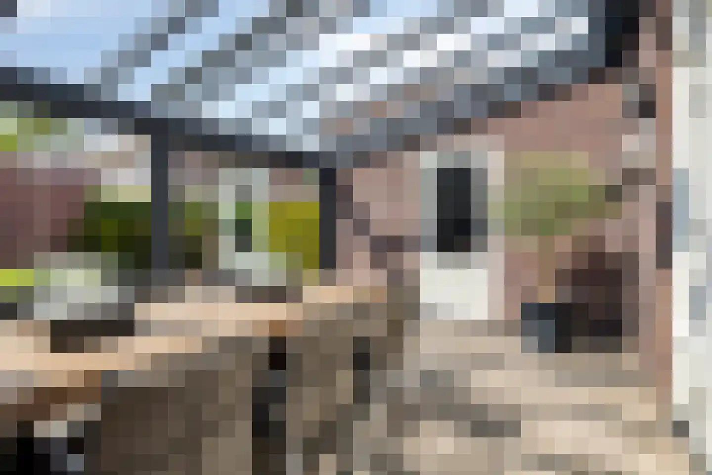 Alexander de Grotestraat 22 Hulst thumbnail 35