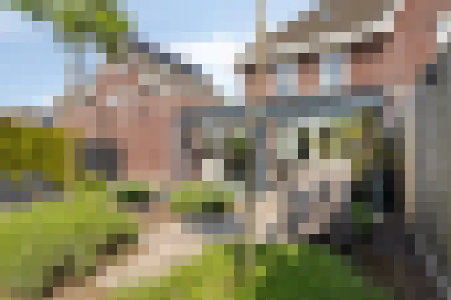 Alexander de Grotestraat 22 Hulst thumbnail 39