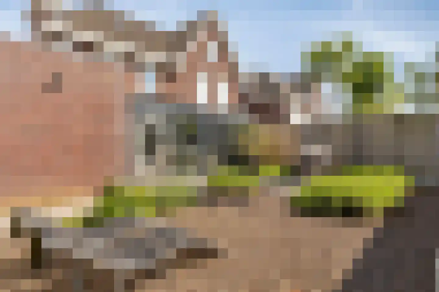 Alexander de Grotestraat 22 Hulst thumbnail 4