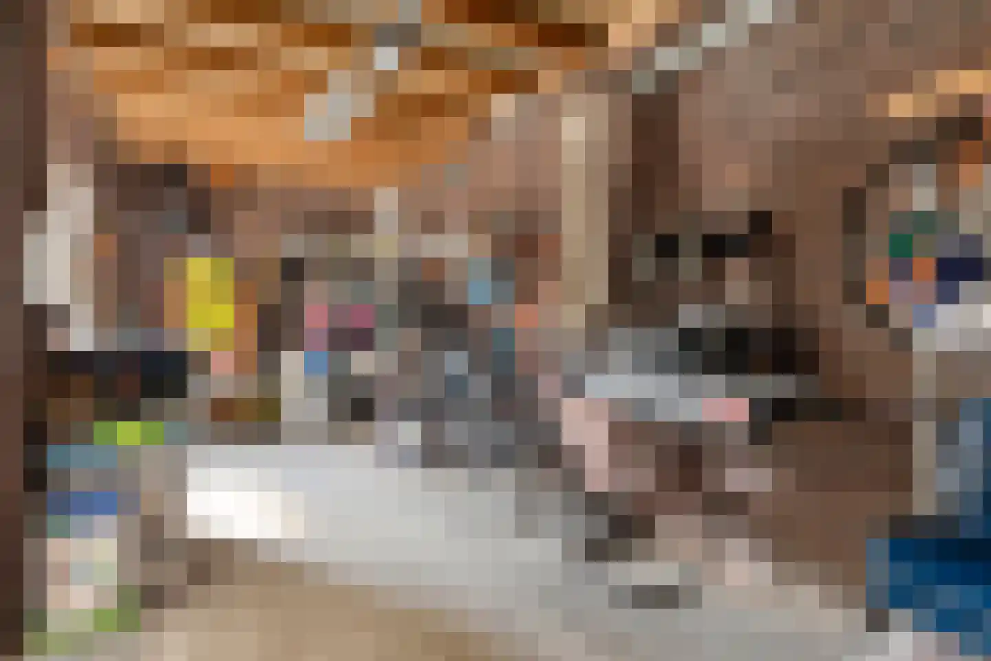 Alexander de Grotestraat 22 Hulst thumbnail 41