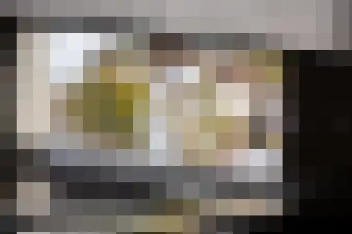 Alexander de Grotestraat 41 Hulst thumbnail 14
