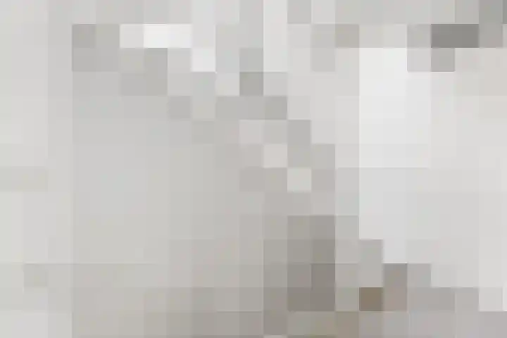 Alexander de Grotestraat 41 Hulst thumbnail 17