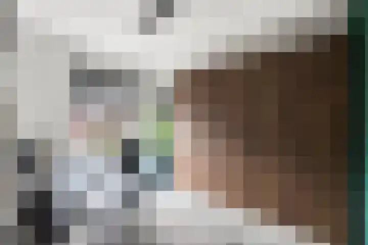 Alexander de Grotestraat 41 Hulst thumbnail 21