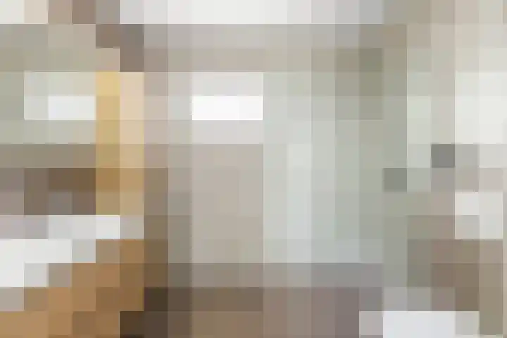 Alexander de Grotestraat 41 Hulst thumbnail 23