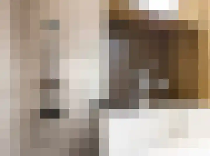 Alexander de Grotestraat 41 Hulst thumbnail 25