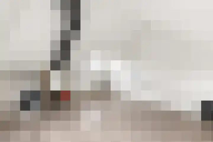 Alexander de Grotestraat 41 Hulst thumbnail 26
