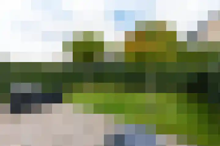 Alexander de Grotestraat 41 Hulst thumbnail 4