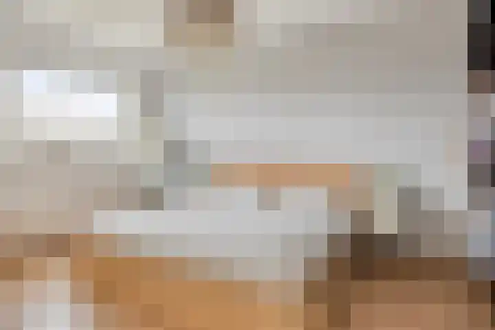 Alexander de Grotestraat 47 Hulst thumbnail 12
