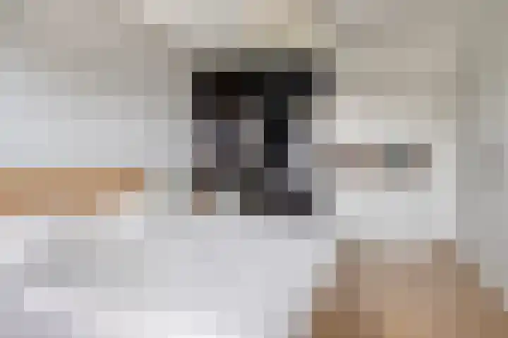 Alexander de Grotestraat 47 Hulst thumbnail 13