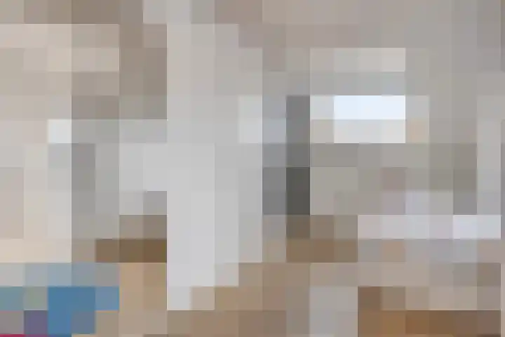 Alexander de Grotestraat 47 Hulst thumbnail 19