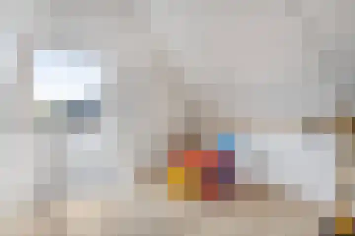 Alexander de Grotestraat 47 Hulst thumbnail 21