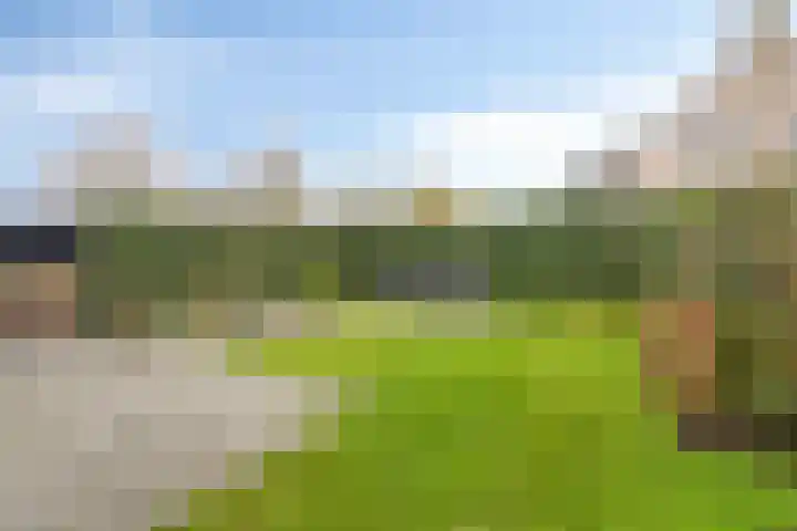 Alexander de Grotestraat 47 Hulst thumbnail 23
