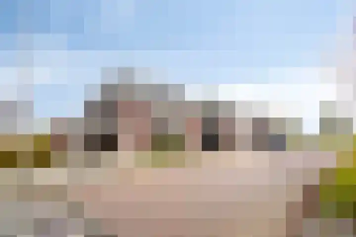 Alexander de Grotestraat 47 Hulst thumbnail 25