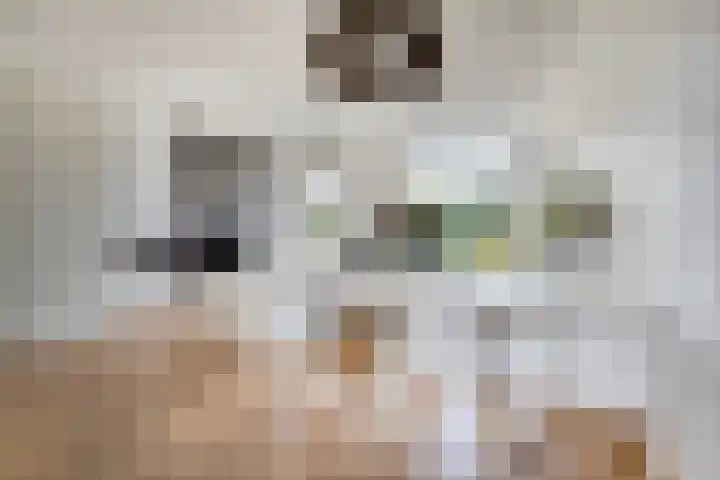 Alexander de Grotestraat 47 Hulst thumbnail 5