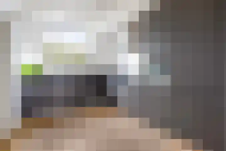 Alexander de Grotestraat 47 Hulst thumbnail 6