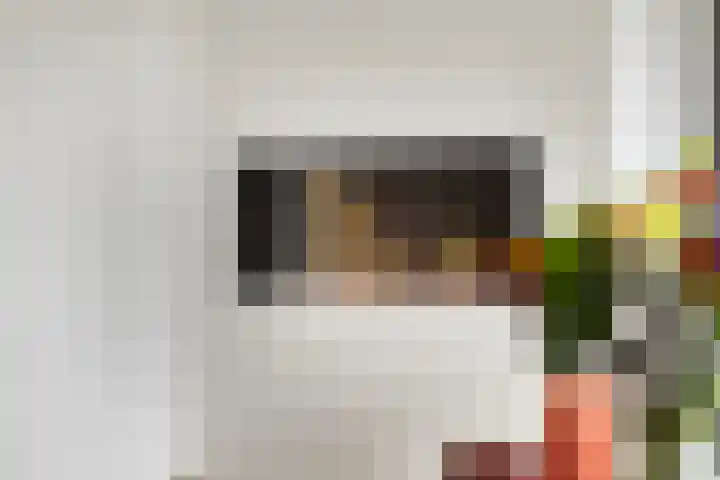 Alexander de Grotestraat 47 Hulst thumbnail 8