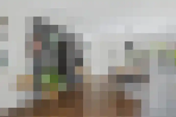 Alexander de Grotestraat 8 Hulst thumbnail 10