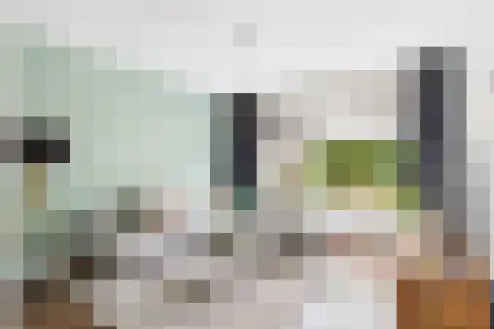 Alexander de Grotestraat 8 Hulst thumbnail 12