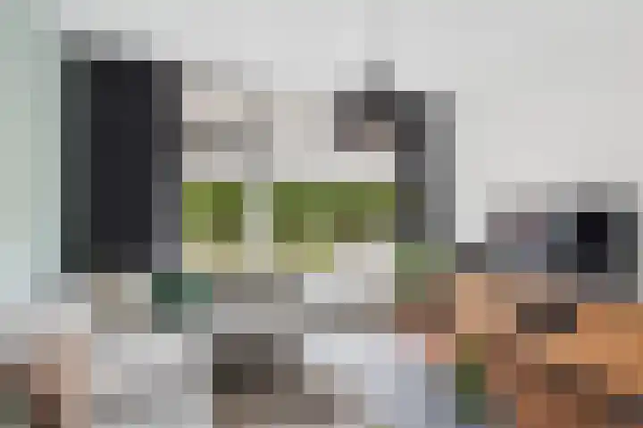 Alexander de Grotestraat 8 Hulst thumbnail 13