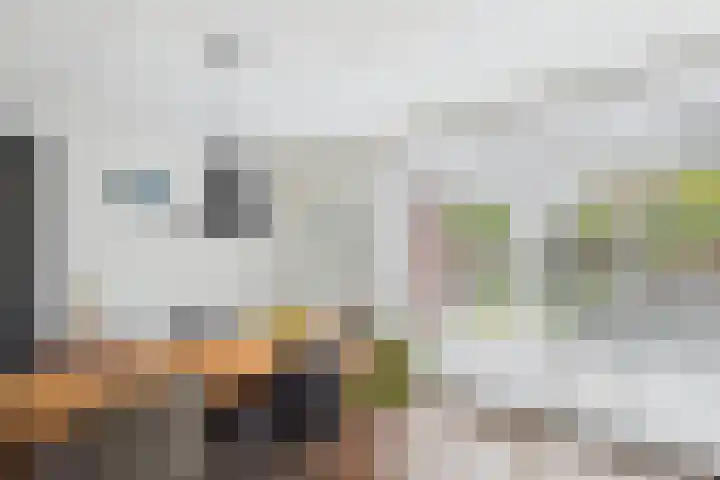 Alexander de Grotestraat 8 Hulst thumbnail 15