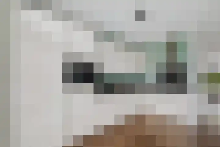 Alexander de Grotestraat 8 Hulst thumbnail 17