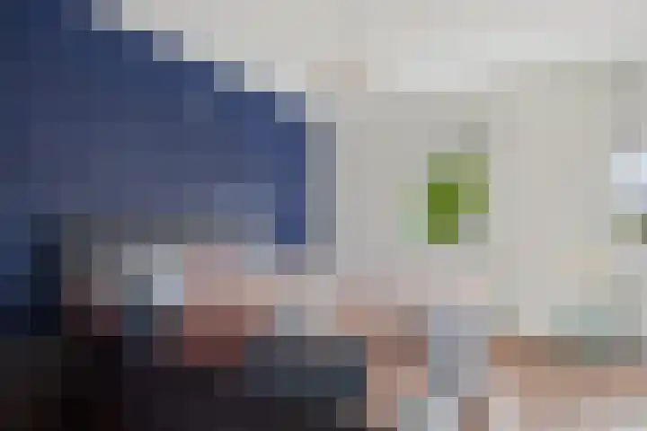 Alexander de Grotestraat 8 Hulst thumbnail 21