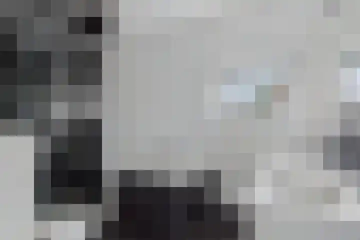 Alexander de Grotestraat 8 Hulst thumbnail 22