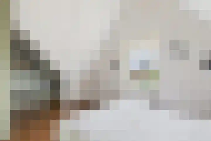 Alexander de Grotestraat 8 Hulst thumbnail 30