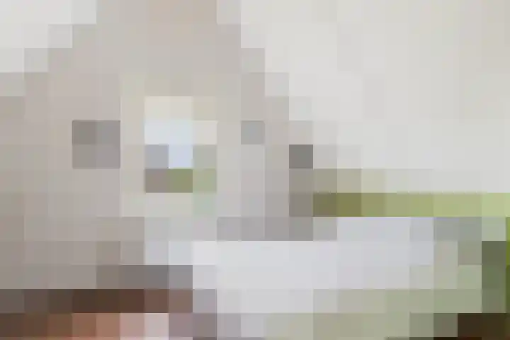 Alexander de Grotestraat 8 Hulst thumbnail 31