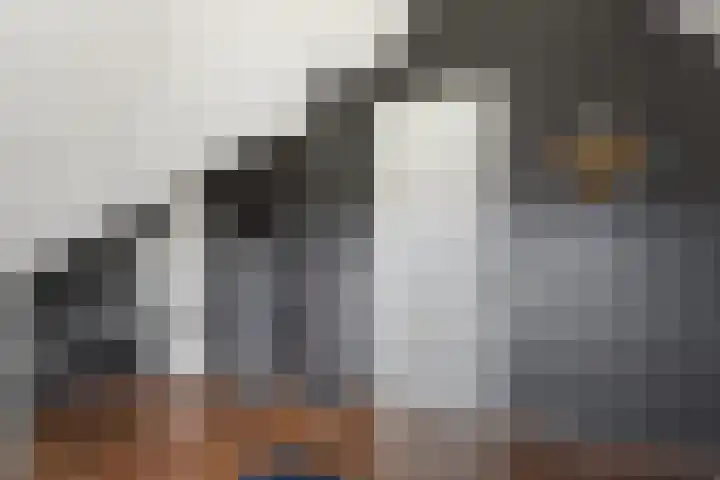 Alexander de Grotestraat 8 Hulst thumbnail 33