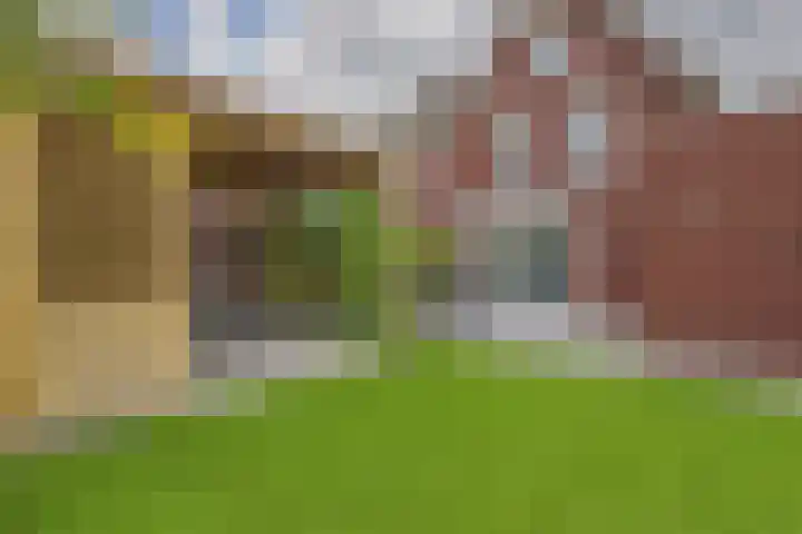 Alexander de Grotestraat 8 Hulst thumbnail 34