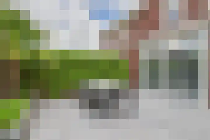 Alexander de Grotestraat 8 Hulst thumbnail 35