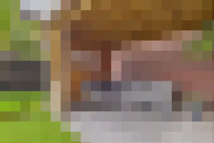 Alexander de Grotestraat 8 Hulst thumbnail 37