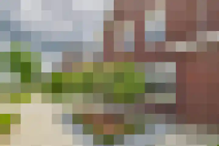 Alexander de Grotestraat 8 Hulst thumbnail 39