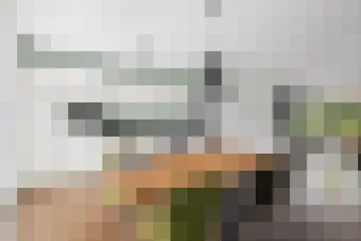 Alexander de Grotestraat 8 Hulst thumbnail 4