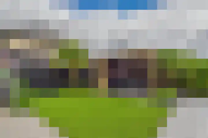 Alexander de Grotestraat 8 Hulst thumbnail 5