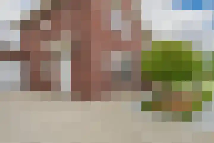 Alexander de Grotestraat 8 Hulst thumbnail 6