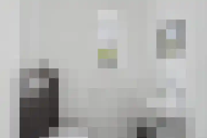 Alexander de Grotestraat 8 Hulst thumbnail 9