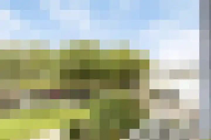 Alexander Dubčekplaats 12 Leiden thumbnail 32