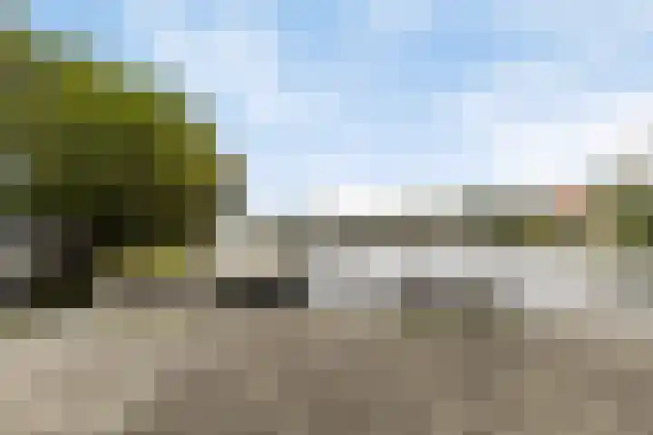 Alexander Dubčekplaats 12 Leiden thumbnail 37