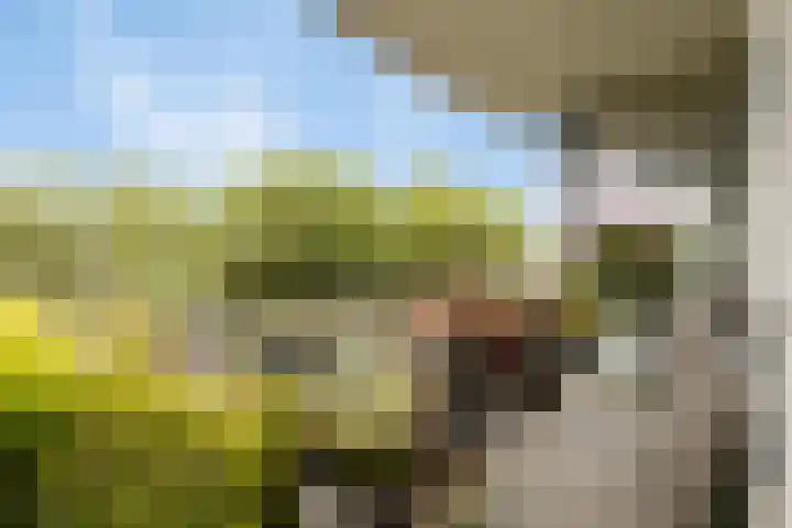 Alexander Dubčekplaats 12 Leiden thumbnail 6