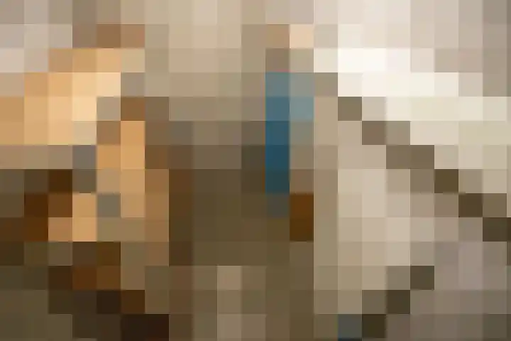 Alexander Dubčekplaats 13 Leiden thumbnail 38