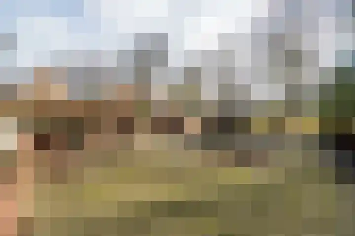 Alexander Dubčekplaats 13 Leiden thumbnail 43