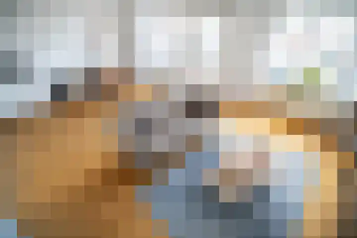 Alexander Dubčekplaats 13 Leiden thumbnail 5