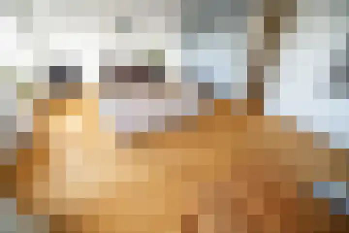 Alexander Dubčekplaats 13 Leiden thumbnail 6