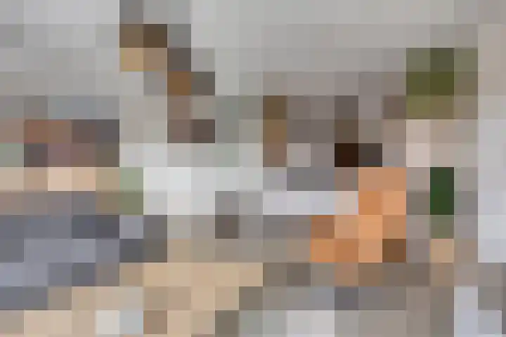 Alexander Dubčekplaats 16 Leiden thumbnail 17