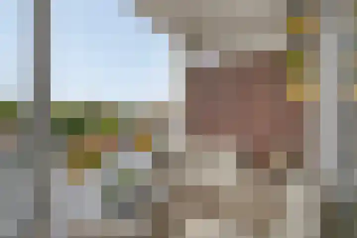 Alexander Dubčekplaats 16 Leiden thumbnail 6
